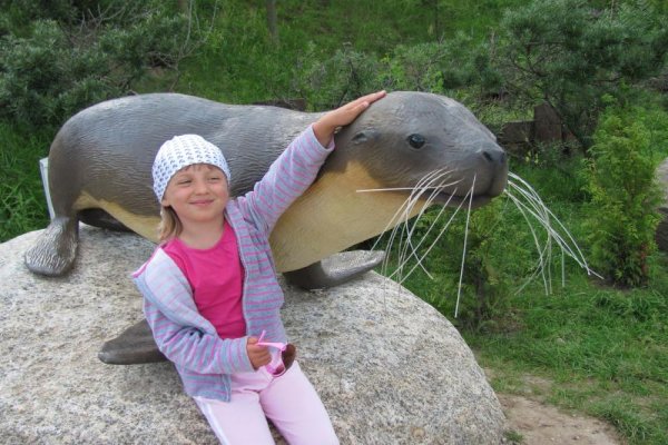 Ocean Park
