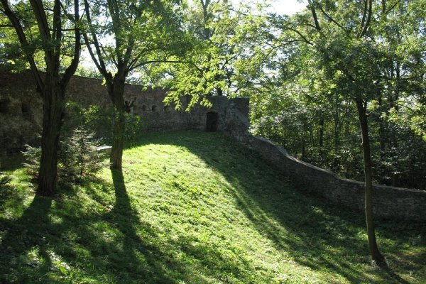 Zamek Toszek