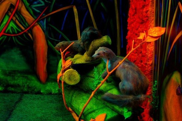 Muzeum 6D - Maszoperia