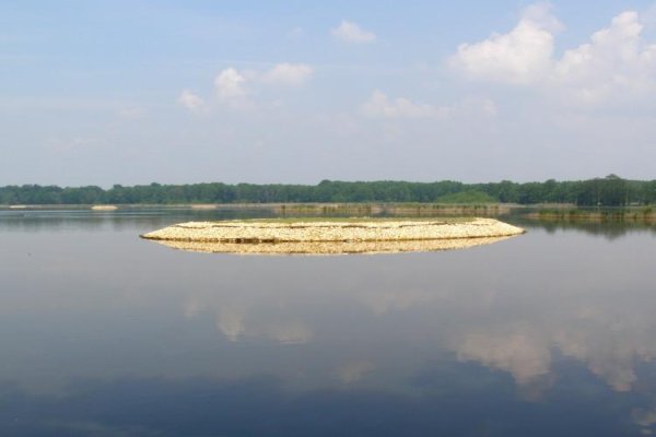 Rezerwat Łężczok
