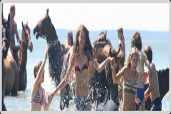 Szkoła Jazdy Konnej Patataj