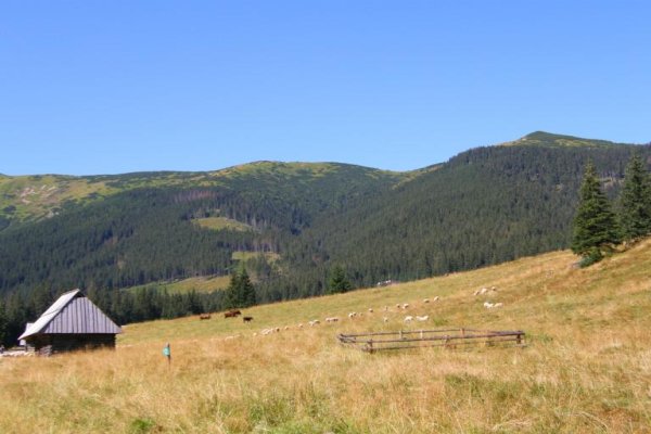 Dolina Chochołowska