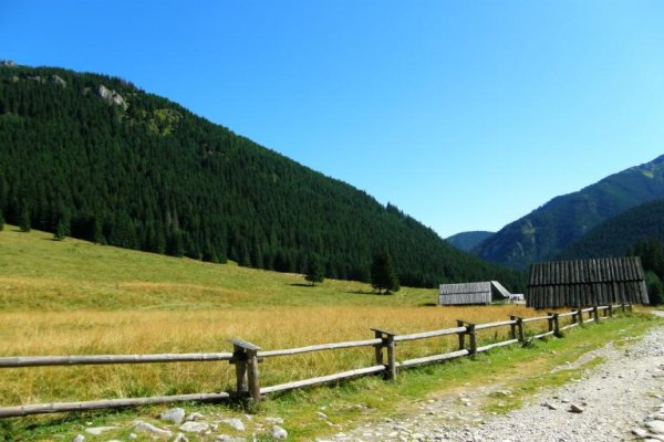 Dolina Chochołowska