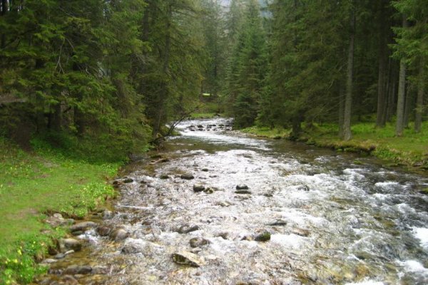 Dolina Chochołowska