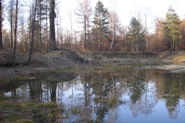 Rezerwat Wielkie Błoto