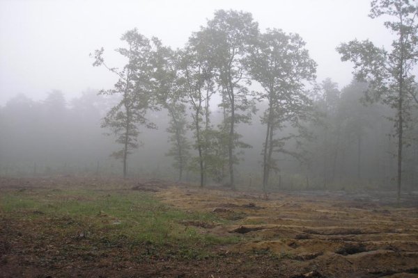 Rezerwat Wielkie Błoto