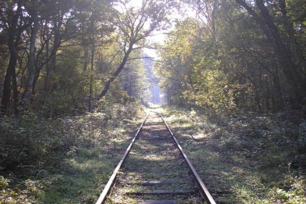 Puszcza Niepołomicka Kłaj