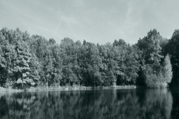 Black Pond in the Niepołomice Forest