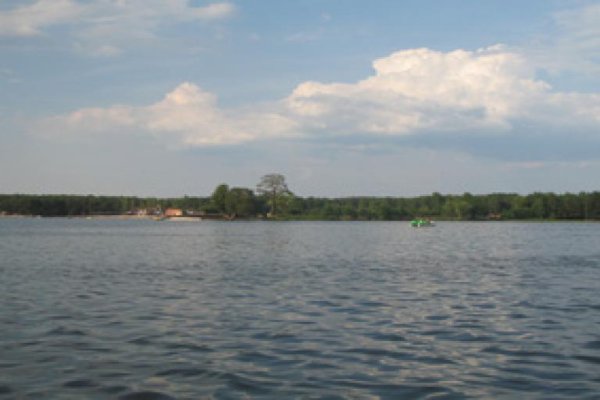 Jezioro Sielpia