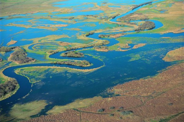Biebrzański Park Narodowy