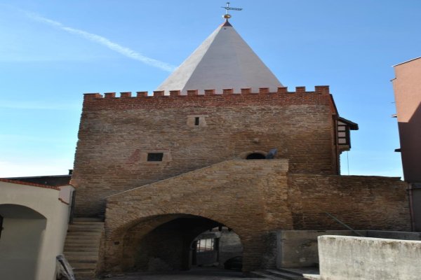 Muzeum Filumenistyczne