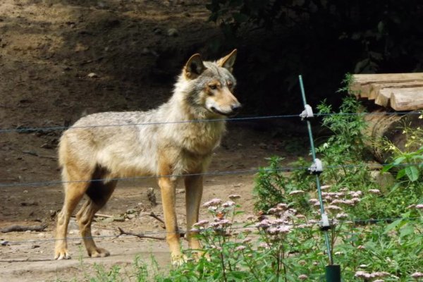 Miejski Ogród Zoologiczny 