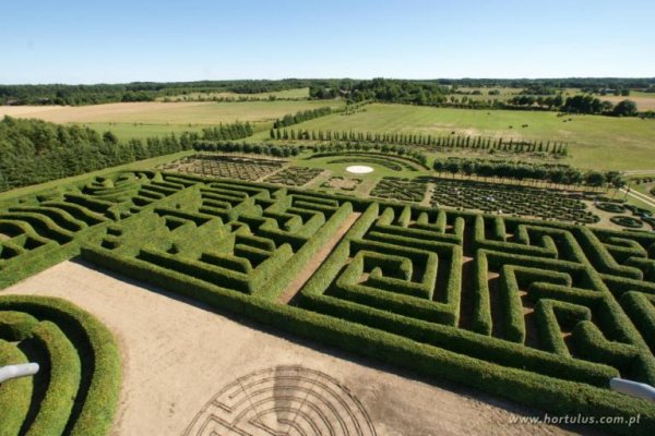 Największy na świecie labirynt grabowy