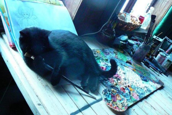 Pracownia malarstwa i Galeria "ACh"