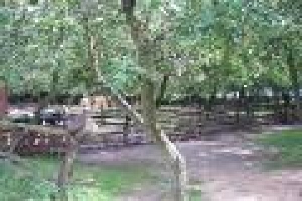 Skansen filmowy Soplicowo