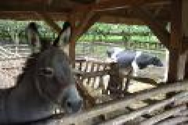 Skansen filmowy Soplicowo