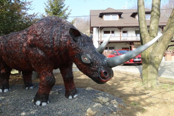 Jaskinia Nietoperzowa