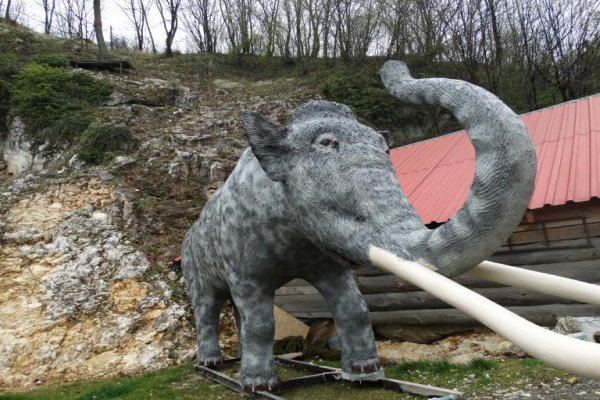 Jaskinia Nietoperzowa