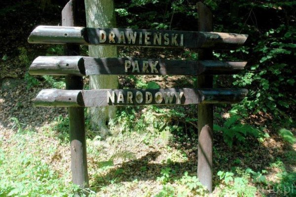 Drawieński Park Narodowy