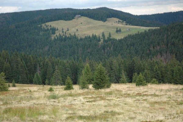 Gorczański Park Narodowy