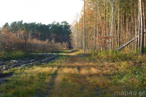 Przedbork Landscape Park