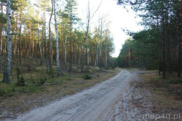 Przedbork Landscape Park
