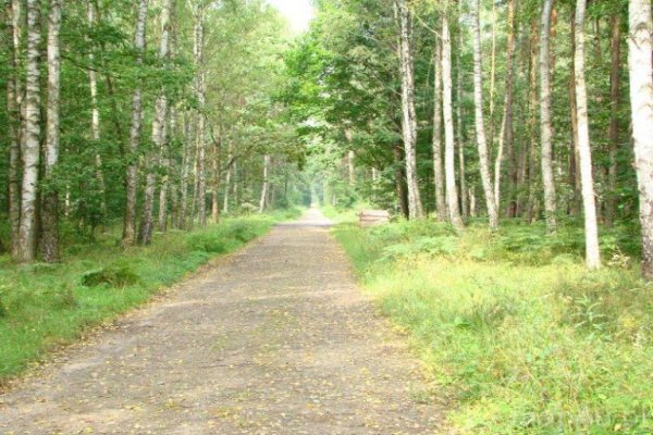 Sulejowski Park Krajobrazowy