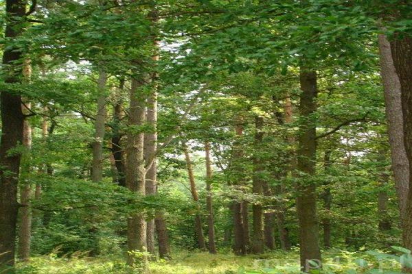 Sulejowski Park Krajobrazowy