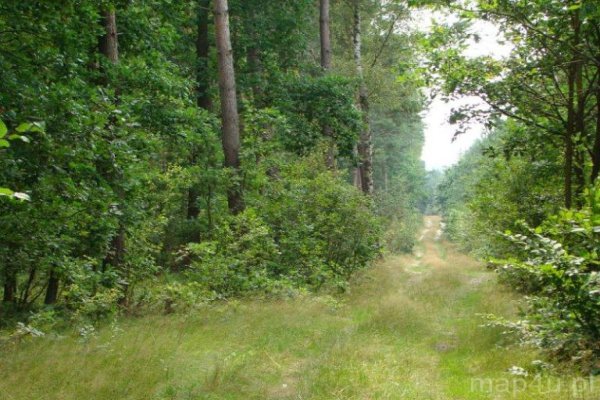 Sulejowski Park Krajobrazowy