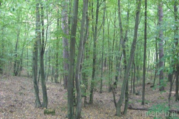 Spalski Park Krajobrazowy