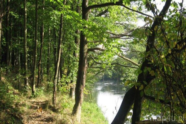 Spalski Park Krajobrazowy