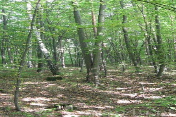 Spalski Park Krajobrazowy