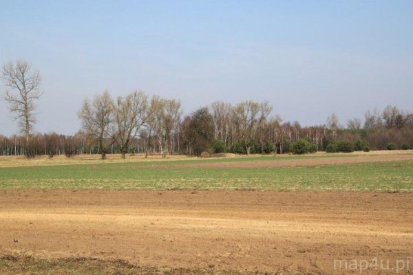 Park Krajobrazowy Międzyrzecza Warty