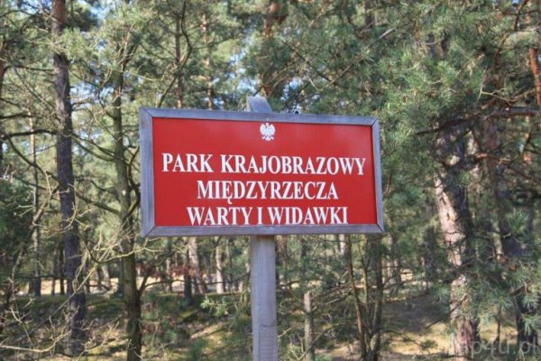 Park Krajobrazowy Międzyrzecza Warty