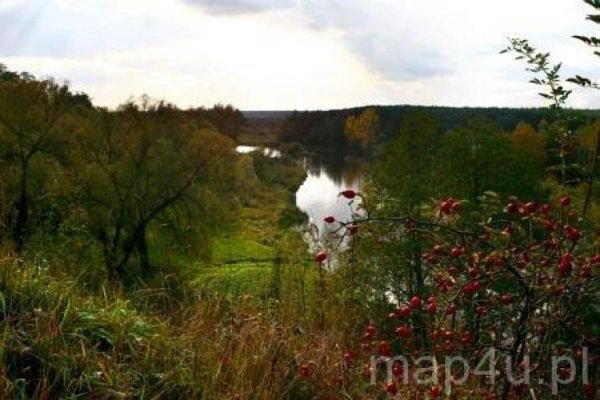 Park Krajobrazowy Międzyrzecza Warty