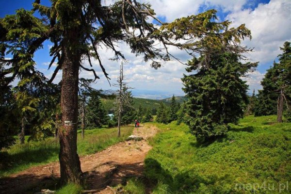 Śnieżnicki Park Krajobrazowy