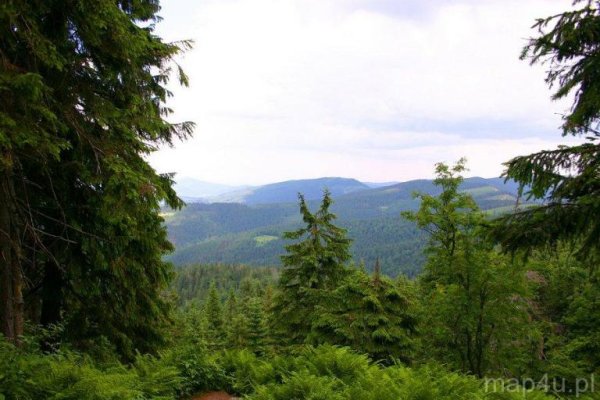Park Krajobrazowy Beskidu Śląskiego
