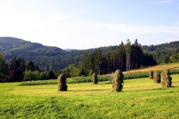 Park Krajobrazowy Beskidu Śląskiego