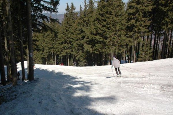 Park Krajobrazowy Beskidu Śląskiego
