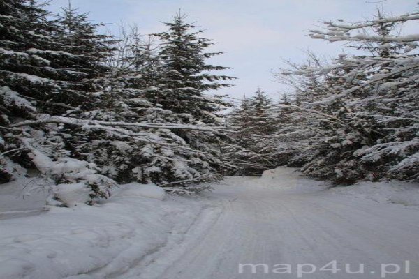 Park Krajobrazowy Beskidu Śląskiego