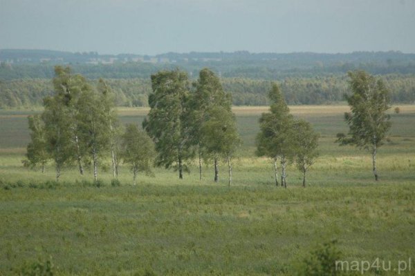 Biebrzański Park Narodowy