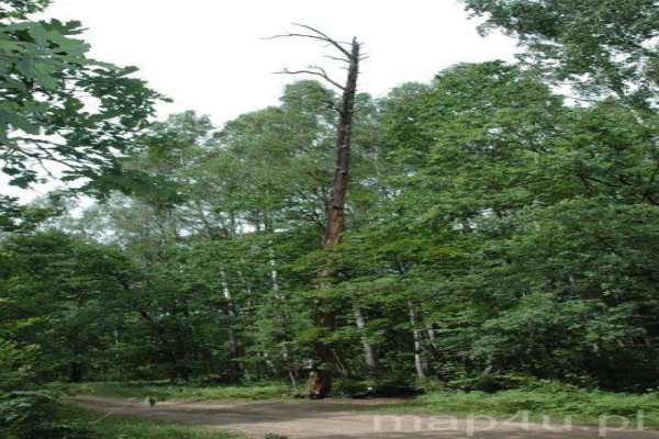 Biebrzański Park Narodowy