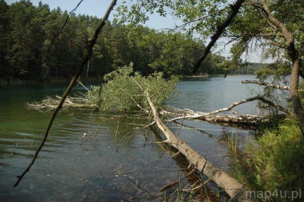 Drawieński Park Narodowy