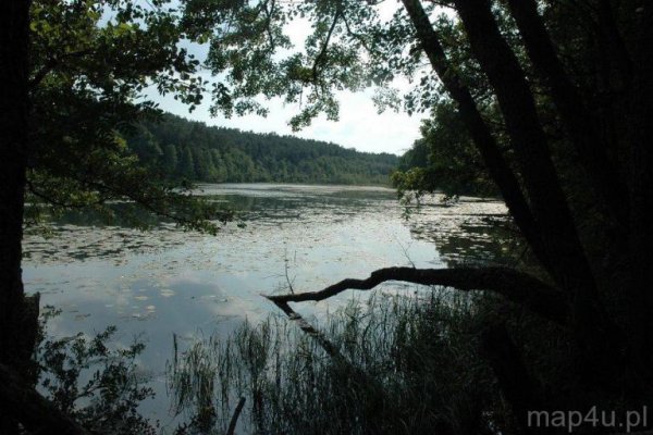Drawieński Park Narodowy