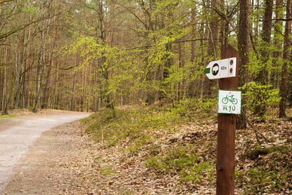 Hanzeatycka trasa nadmorska