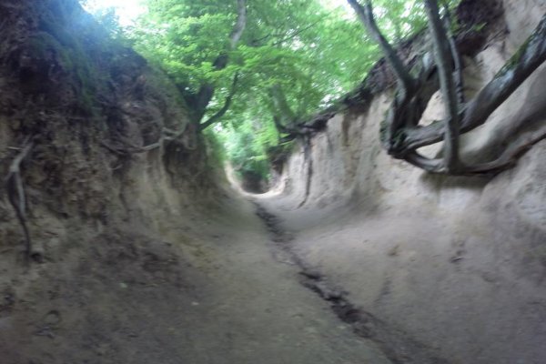 Wąwóz Korzeniowy Dół