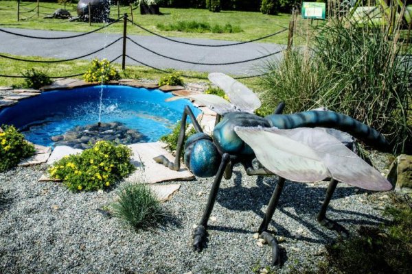 Zatorland Parki Rozrywki