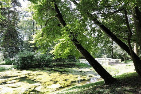 Muzeum Przyrody w Drozdowie