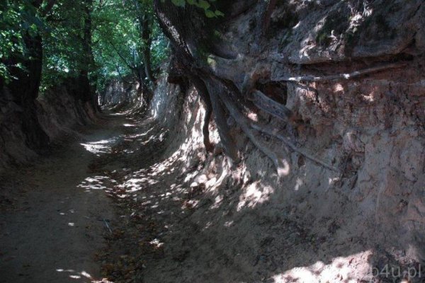 Kazimierski Park Krajobrazowy