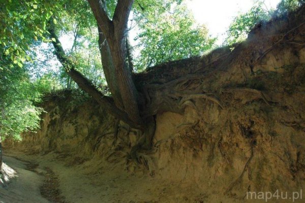 Kazimierski Park Krajobrazowy